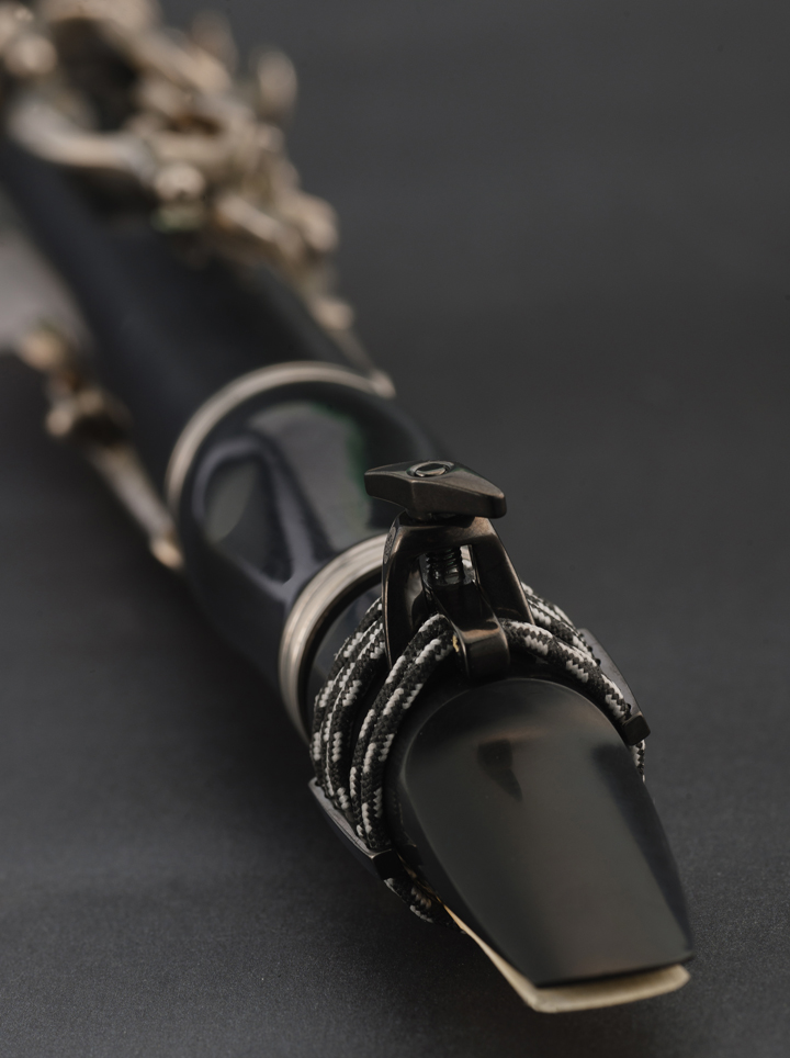 Original Ligature for Silverstein Works