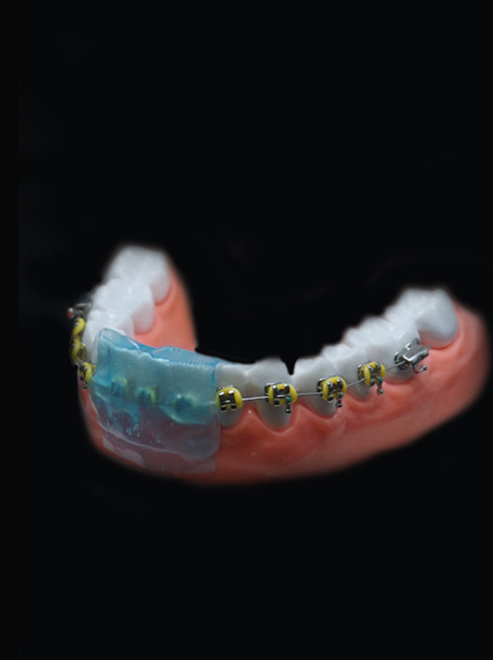 OmniGuard - Image 9